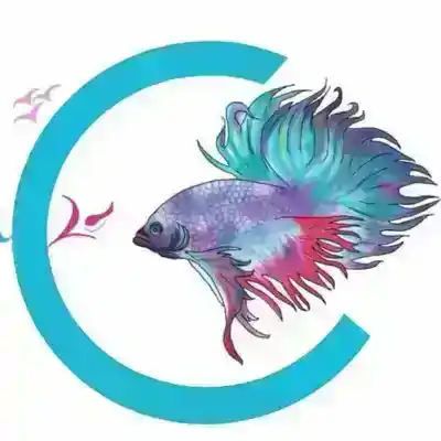 صورة البائع شركة السلمان العالمية