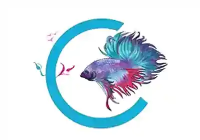 صورة الشركة alsalmankw