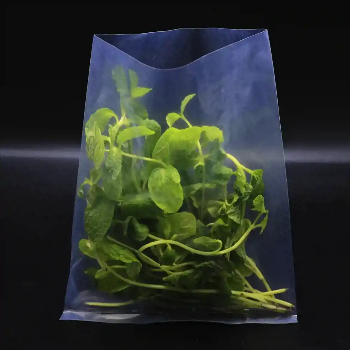 صورة اكياس شفافة