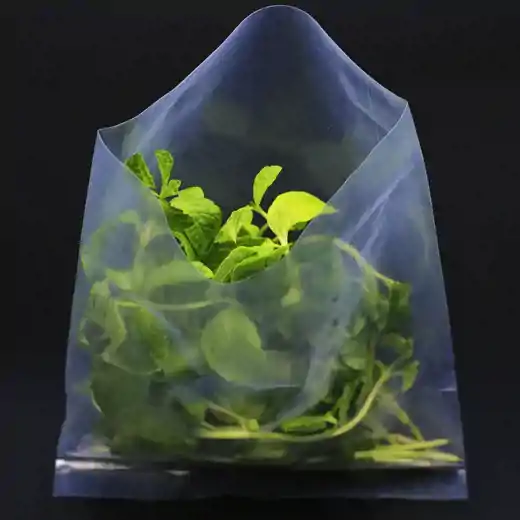 صورة اكياس شفافة