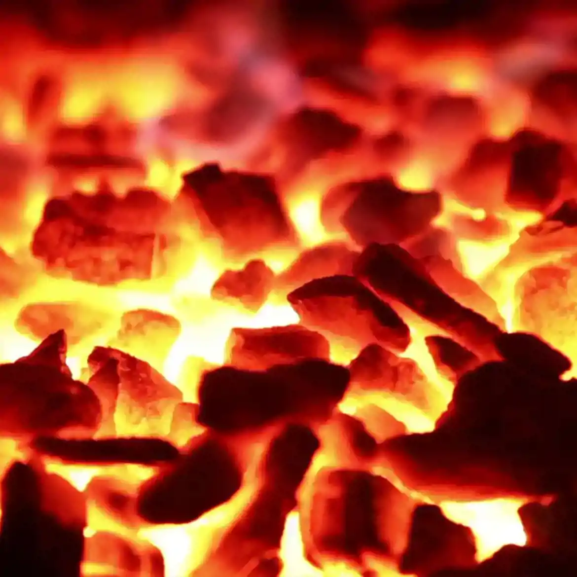 صورة فحم الشوي 7 كيلو نخب أول