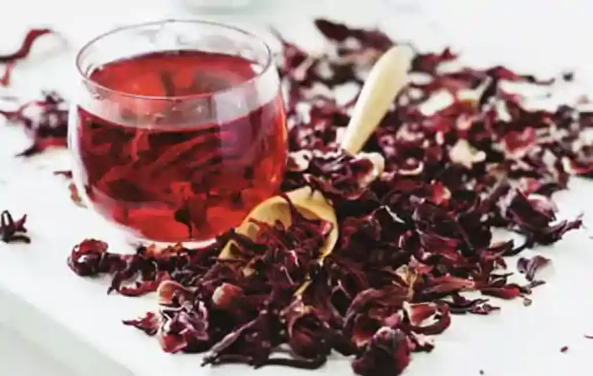 صورة كركديه 