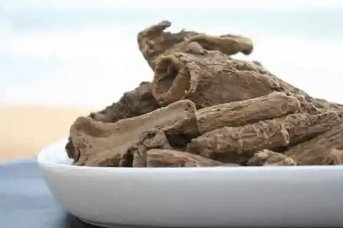 صورة القسط الهندي 