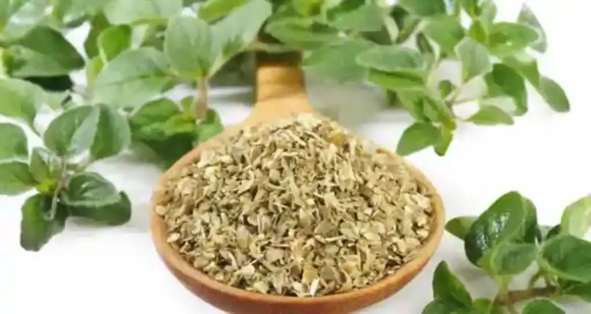 صورة برقدوش 