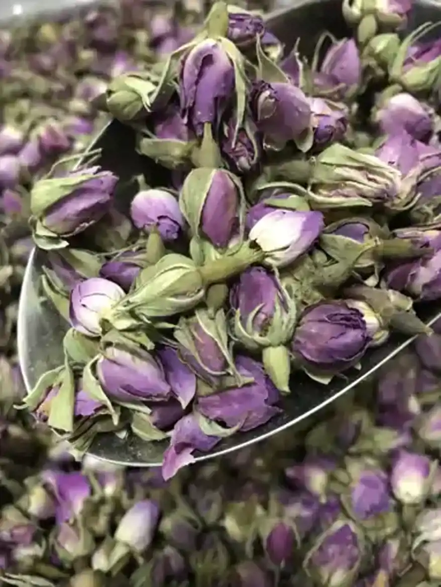 صورة ورد محمدي 